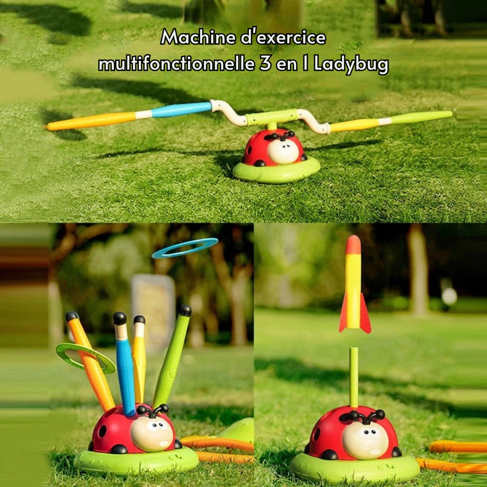 Ladybug Jump & Play